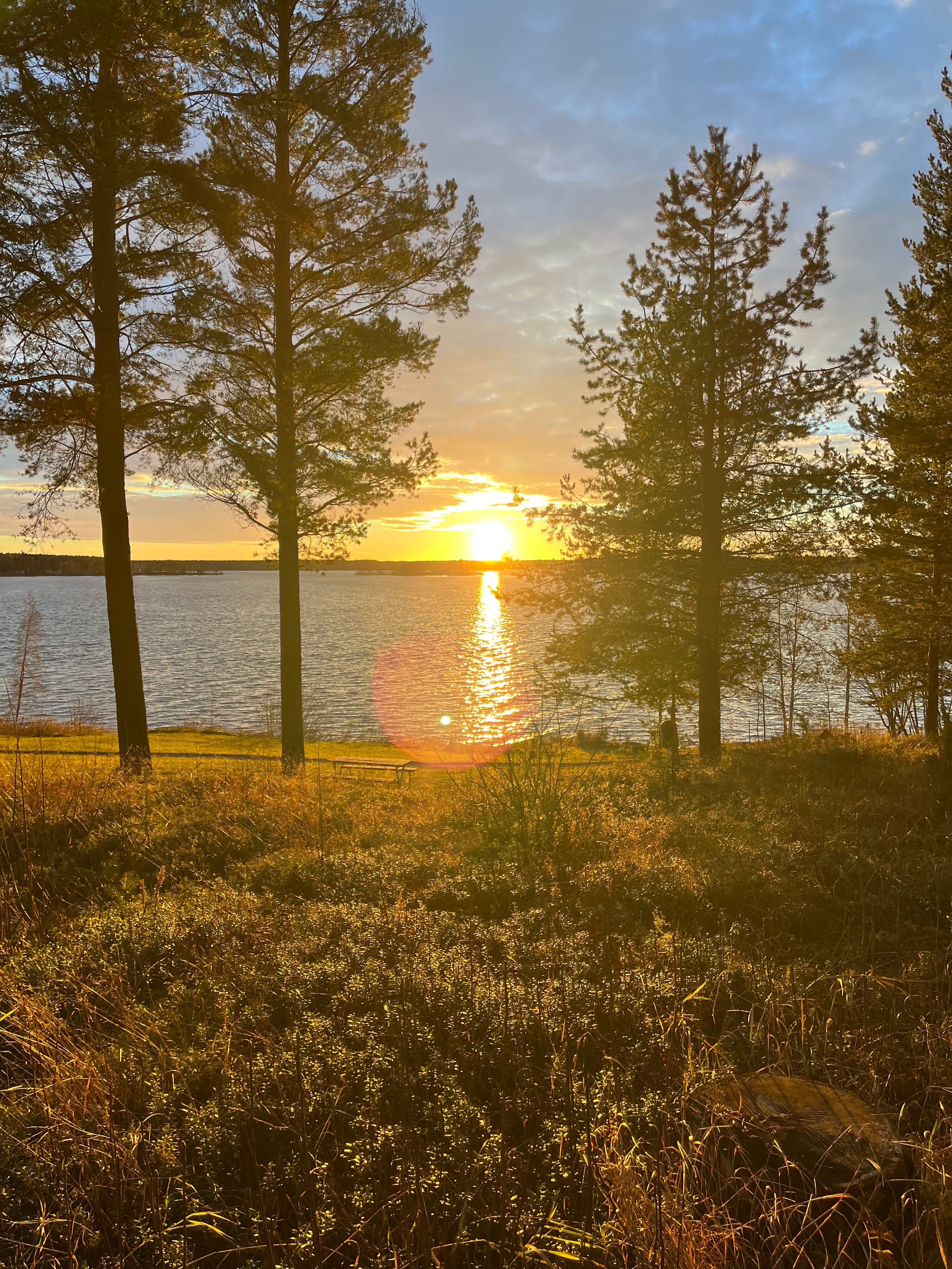 På en eftermiddag.